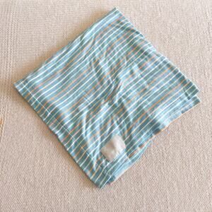 Copper Pearl Blue Striped Multi-Use Cover